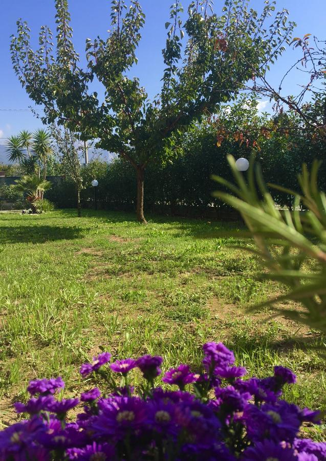 Bba2Passi Bed & Breakfast Marina di Massa Exterior foto